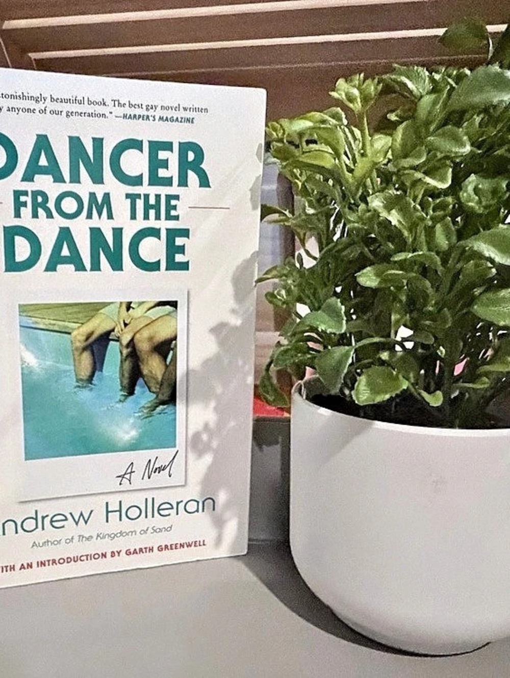 HarperCollins Dancer from the Dance Hardcover Book